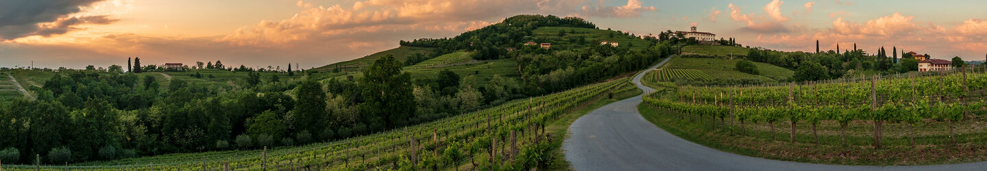 Frühling stürmischer Sonnenuntergang in den Weinbergen von Collio Friulano, Friaul-Julisch Venetien iStock.com / zakaz86