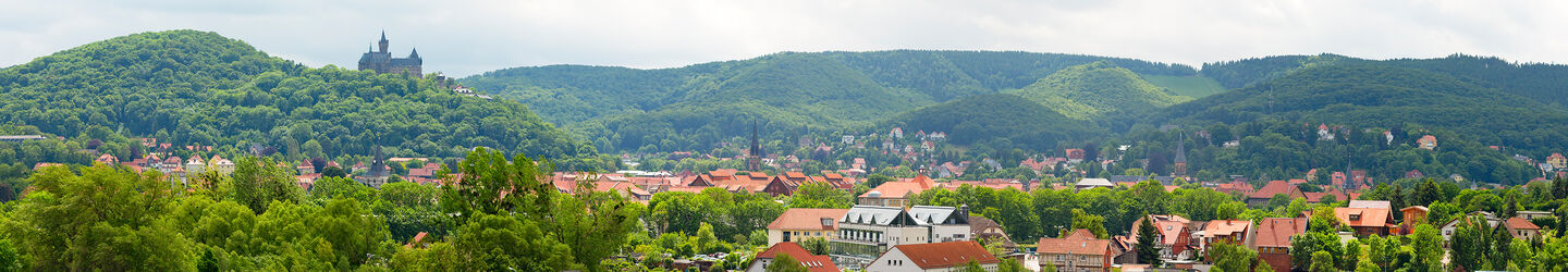 Blick auf Wernigerode im Harz iStock.com / proxyminder