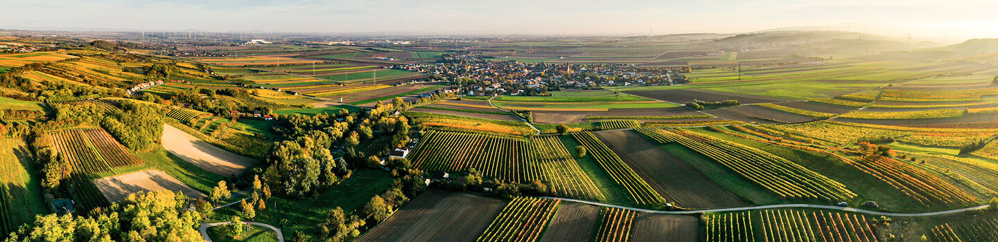 Die Luftaufnahme offenbart ein weitläufiges Meer aus Weingärten, die sich harmonisch über die sanften Hügel des Weinviertels erstrecken.