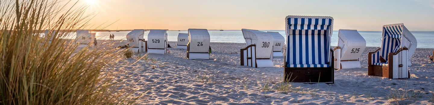 Idyllische Szenerie auf der Darß-Halbinsel, mit weißen Strandkörben, die im weichen Sand stehen und von der untergehenden Sonne angeleuchtet werden.