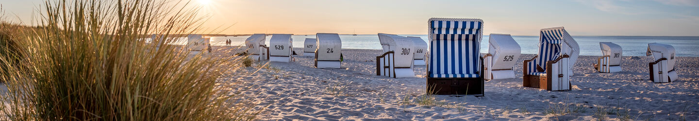 Strandkörbe im Sand in Darß Peninsula, Deutschland iStock.com / tane-mahuta