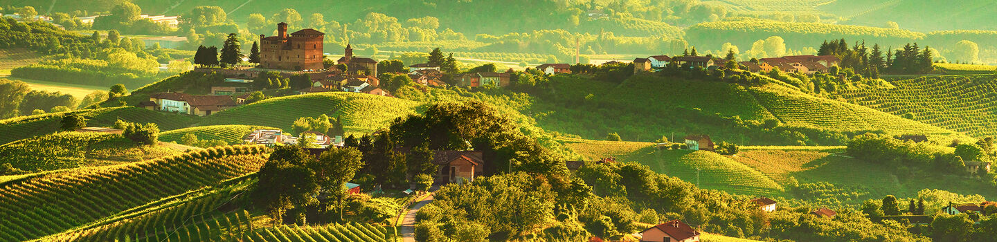 Ein weites Panorama zeigt die langen Weinberge von Grinzane Cavour im Piemont, während der Sonnenuntergang die Landschaft in warmes Gold und Orange taucht.