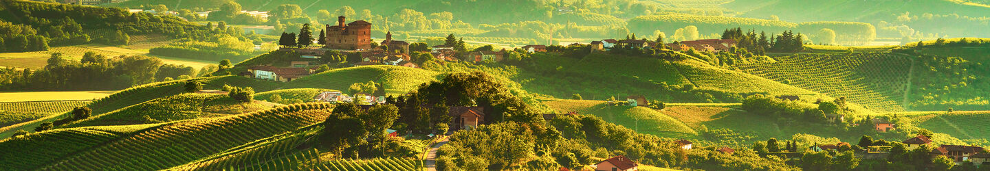 Langhe Weinberge Sonnenuntergang Panorama, Grinzane Covour, Piemont, Italien iStock.com / StevanZZ