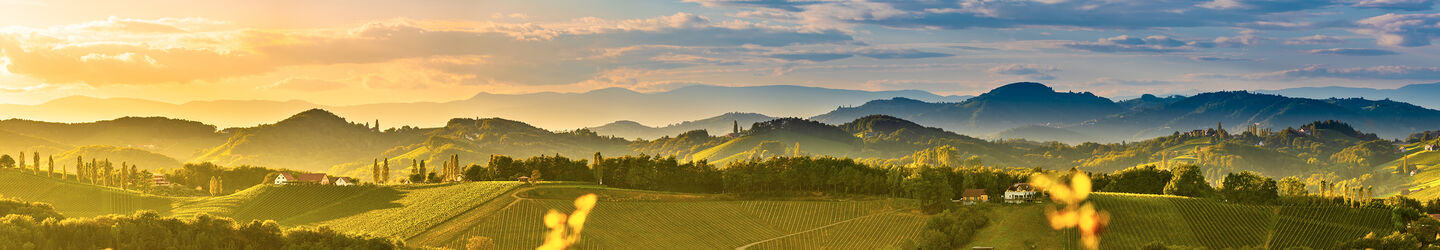 Südsteirische Weinberge bei Gamlitz iStock.com / Przemys?aw Iciak