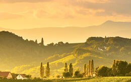 Südsteirische Weinberge bei Gamlitz iStock.com / Przemys?aw Iciak
