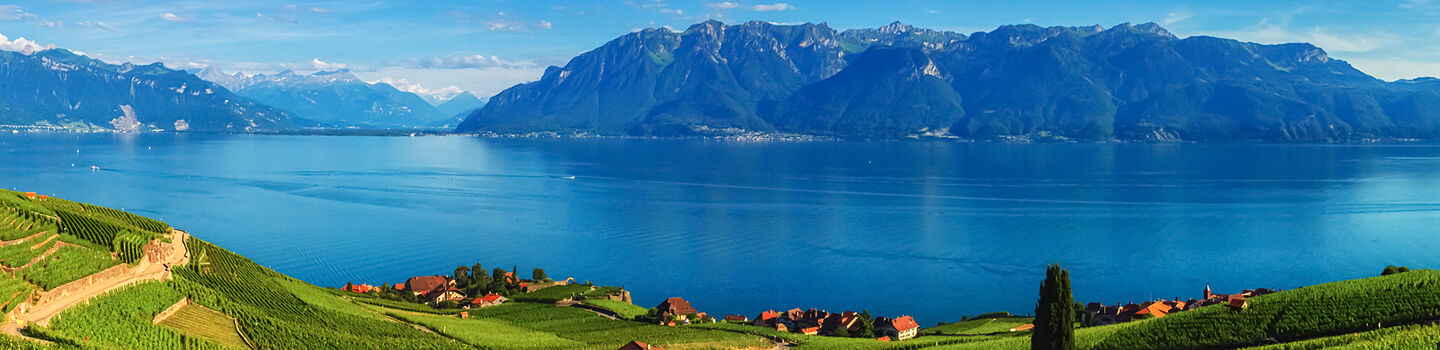Die Lavaux-Region am Genfer See bietet einen beeindruckenden Anblick, mit ihren terrassierten Weinbergen, die sich sanft bis zum tiefblauen Wasser erstrecken.