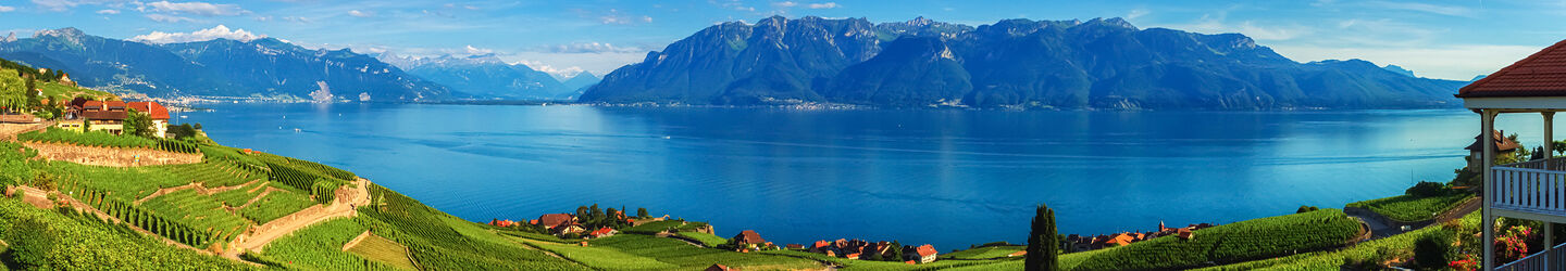 Blick auf die Lavaux-Region am Genfer See iStock.com / Elenarts