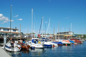 Ein Yachthafen am Cospudener See unter strahlend blauem Himmel, an dessen Pier mehrere Segelboote vor Anker liegen. In der Nähe sorgen farbenfrohe Gebäude und ein Café für eine lebhafte, sonnige Atmosphäre.