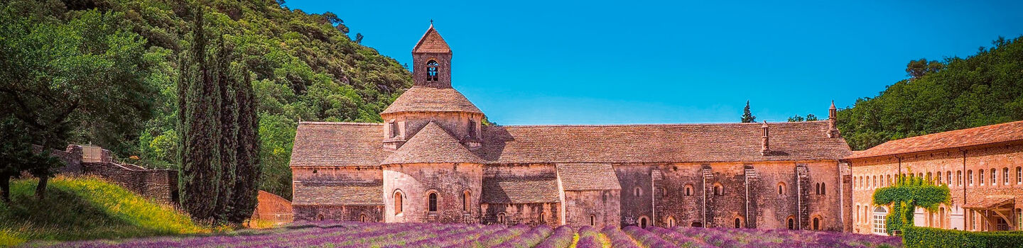 Feld mit Lavendel - ÖAMTC Reiseroute Südfrankreich