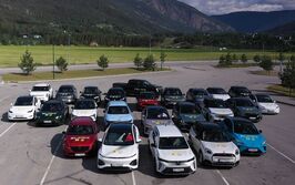 Eine Gruppe von Elektroautos parkt auf einem Parkplatz.