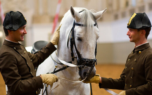 Spanische Hofreitschule 2025 Michael Rzepa