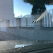 Steinschlag auf einer Windschutzscheibe, von innen fotografiert