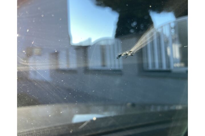Steinschlag auf einer Windschutzscheibe, von innen fotografiert