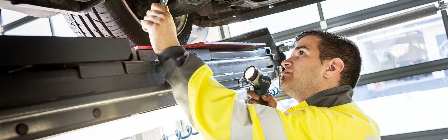 Schutz vor Marderschaden am Auto: Tipps gegen ungebetene Gäste im