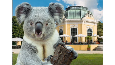 Tiergarten Schönbrunn Tiergarten Schönbrunn