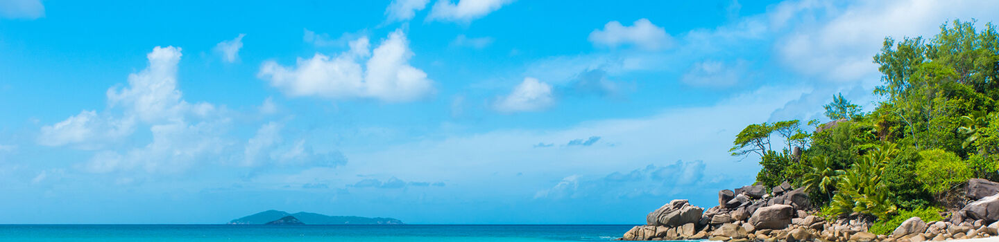 Das Meer an der Küste von Costa Rica schimmert in hellen Blautönen und verwandelt die Szenerie in ein leuchtendes Panorama voller tropischer Schönheit.