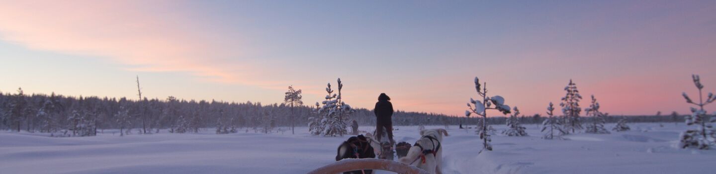 Husky-Schlittenfahrt in winterlicher Landschaft in Finnland