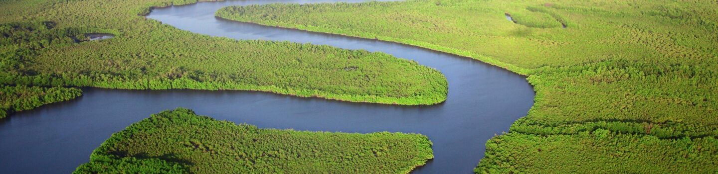 Blick auf den Fluss Gambia