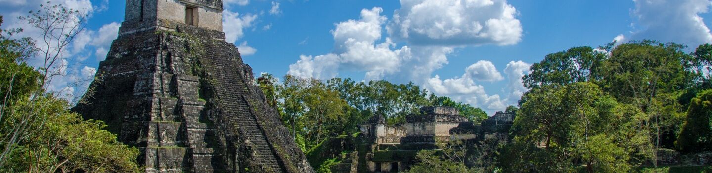 Eine alte Maya-Pyramide ragt eindrucksvoll aus dem dichten, grünen Dschungel empor.