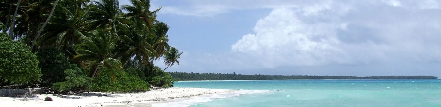 Türkisblaues Meerwasser, weißer Sand und Palmen auf den Marshall-Inseln