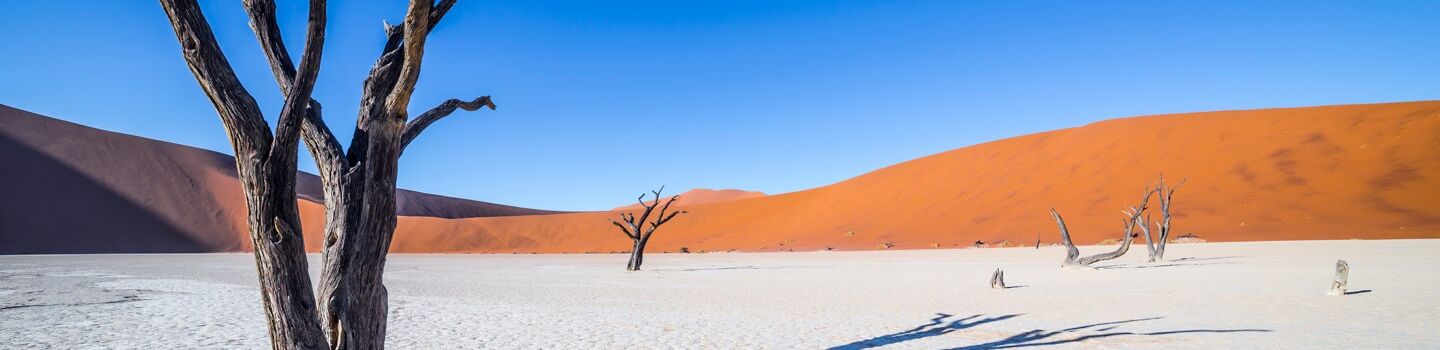 Die weitläufige Landschaft der Namib-Wüste entlang der Südwestküste Afrikas, charakterisiert durch rötliche Dünen und spärliche Vegetation unter einem weiten, klaren Himmel.