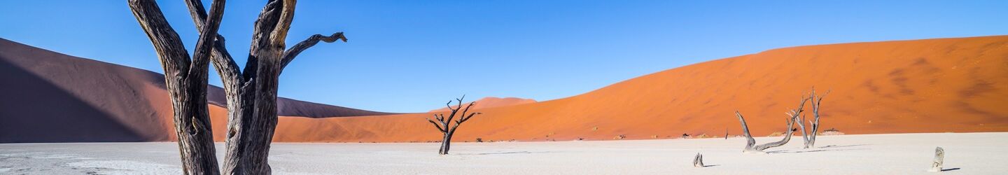 Namibia nmessana
