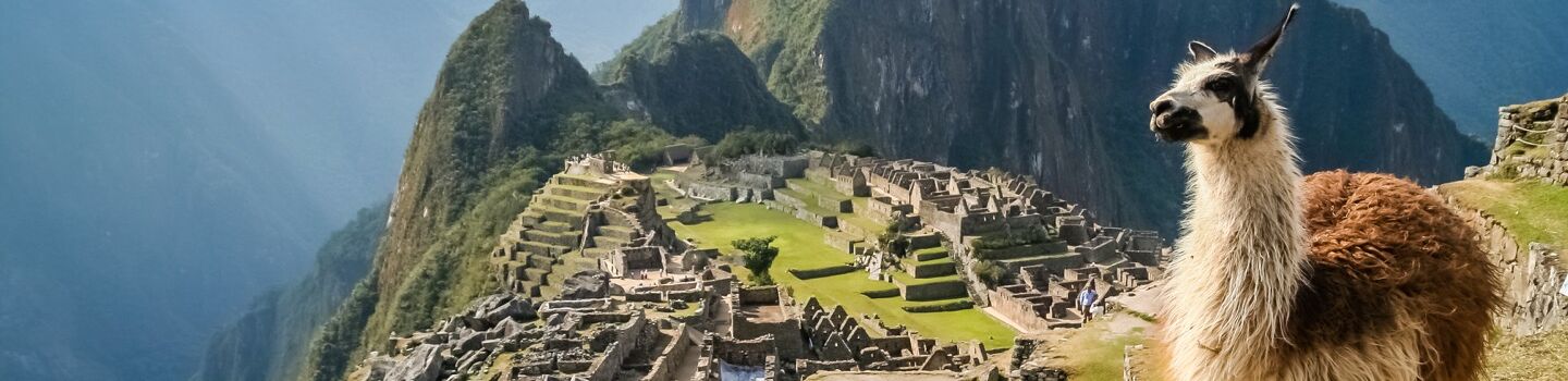 Machu Picchu, eines der Wunder der Anden, präsentiert sich majestätisch mit terrassenförmigen Ruinen, während ein friedliches Lama inmitten der grünen Landschaft steht und die spektakuläre Bergkulisse vervollständigt.