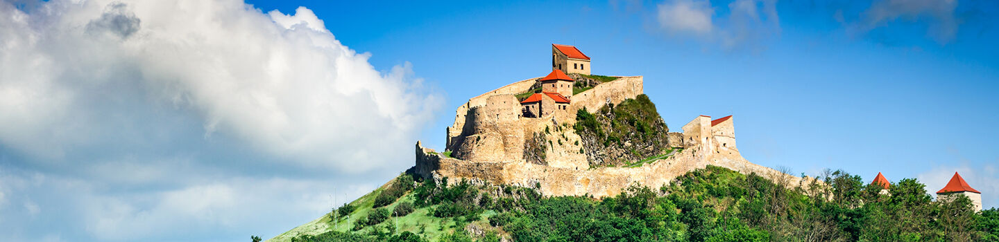Eine alte Burg auf einem Hügel bei blauem Himmel, umgeben von Wald