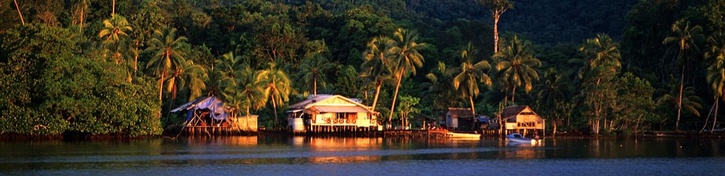 Holzhütte am Ufer, umrahmt von Palmen und dichtem Wald im Hintergrund