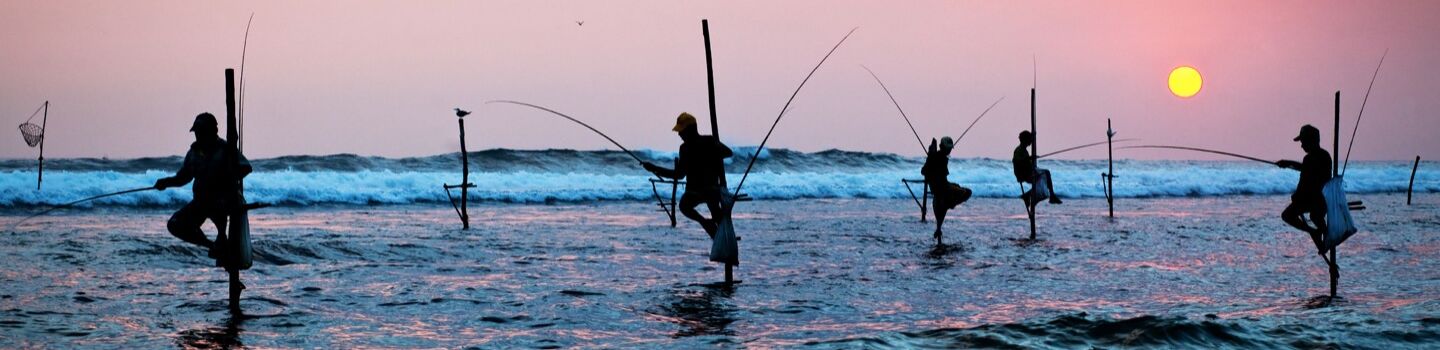 Mehrere Fischer halten sich an Holzstelzen, die im flachen Meerwasser stehen, festen und werfen bei Sonnenuntergang ihre Angelruten aus