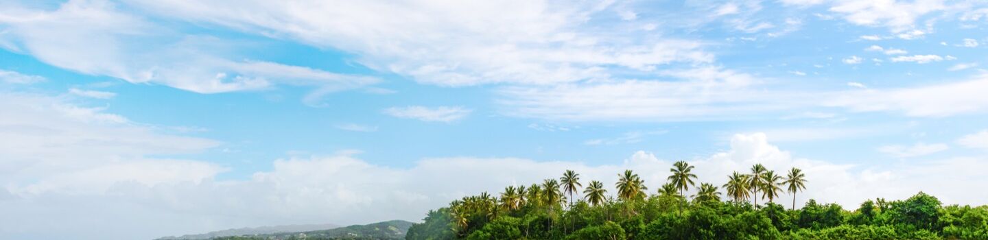 Idyllischer Strandblick, gekrönt von hoch aufragenden Palmen, im klaren blauen Meer unter einem leicht bewölkten Himmel.