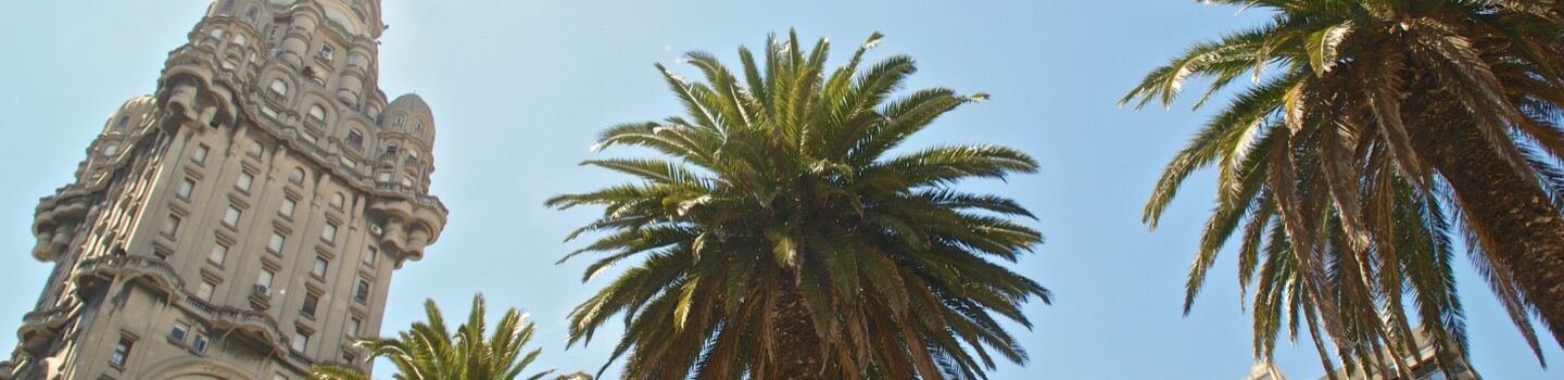 Von unten betrachtet, erhebt sich ein beeindruckendes altes Gebäude in Uruguay majestätisch, flankiert von emporragenden Palmen und dem weiten, endlosen Himmel.