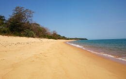 Guinea - Bissau Greg2016