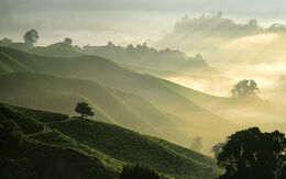 Kamerun Felix_Indarta