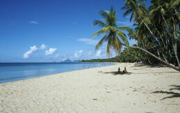 Blick auf den Strand Grande Anse des Salines im Süden von Martinique mit feinem Sand und Palmen