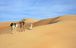 Mauretanien michaelypark