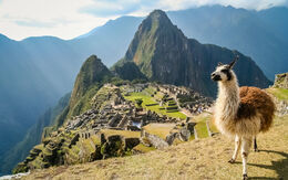 Peru pawopa3336