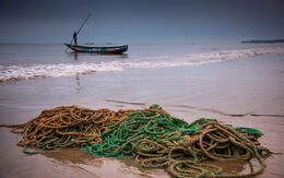 Sierra Leone robertonencini