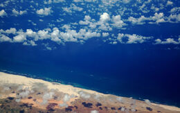 Somalia ZambeziShark