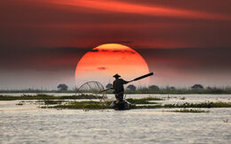 Vietnam wnjay_wootthisak