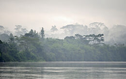 Zentralafrikanische Republik USO