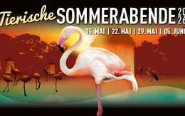 Tiergarten Schönbrunn Sommerabende