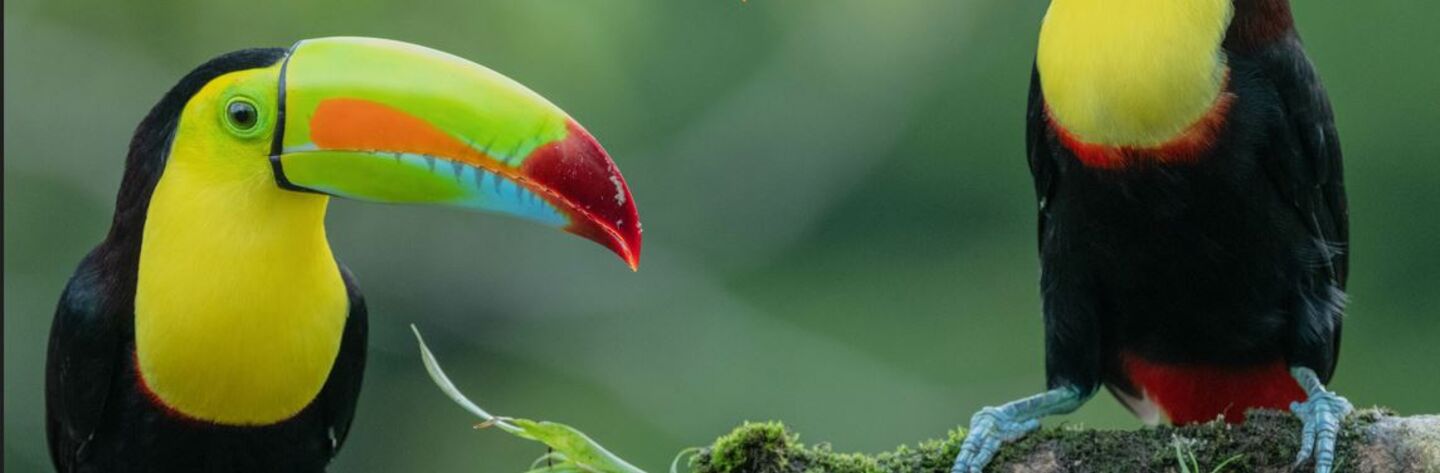Costa Rica und Panama ÖAMTC Reisen