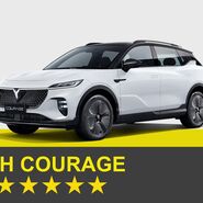 Fahrzeug Voyah COURAGE