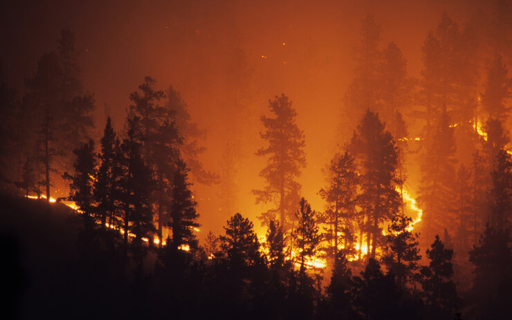 Waldbrand Intensives Waldbrand