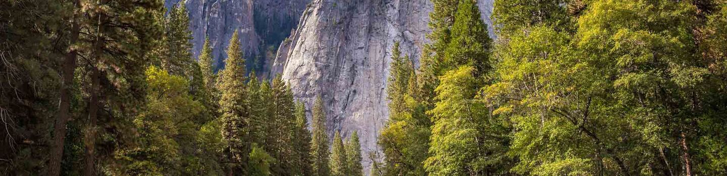 Yosemite-Nationalpark.jpg ÖAMTC Reisen