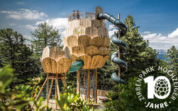 Hochzeiger Zirbenpark