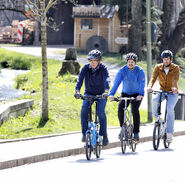 Das Bild zeigt drei Männer auf Fahrrädern. Sie fahren bei Sonnenschein hintereinander eine Straße entlang. In Fahrtrichtung rechts von ihnen fließt ein Bach. Alle drei Männer tragen einen Radhelm. Der vorderste der drei sitzt auf einem hellblauen Fahrrad und ist mit einer dunkelblauen Hose und einer dunkelblauen Jacke bekleidet. Der mittlere der drei Männer sitzt auf einem silbernen Fahrrad und ist mit einer schwarzen Hose sowie einer blauen Jacke bekleidet. Der hinterste der drei Männer sitzt auf einem schwarzen Fahrrad und ist mit einer schwarzen Hose und einer hellbraunen Jacke bekleidet.