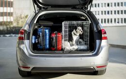 Ein silbernes Auto steht auf einem Parkplatz mit offenen Kofferraum. Darin befinden sich zwei Koffer und ein geöffneter Käfig mit Hund.