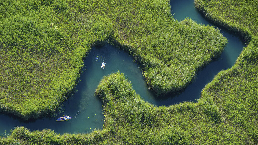 Foto von oben: Blick auf den Schilfgürtel. Zwei Kanus fahren gerade durch.